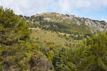 Fototapeta na wymiar Sierra de las Nieves National Park. Yunquera, Malaga. Spain