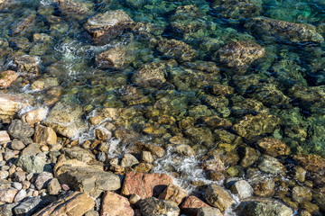 Italy, Cinque Terre, Monterosso, a close up of a rock
