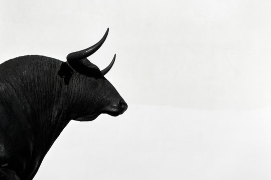 Silhouette of brave bull in Ronda, Spain