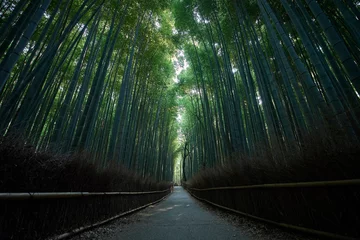 Rolgordijnen Through the bamboo forest © mariosforsos