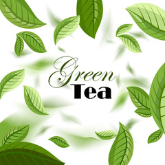 green tea. green tea leaves. label. vector illustration