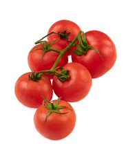 tomatoes isolated on white background