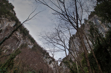 Rocce e vegetazione nel parco del monte Cucco