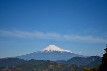 初春～Early spring.