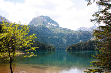 The landscape of the Black lake in Montenegro. Mountain landscape.
