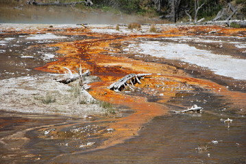 Yellowstone Nationalpark, Wyoming