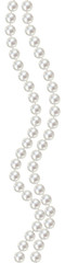 Pearls. Jewelry. Vector illustration. Garland. Beads. Shiny decorations.