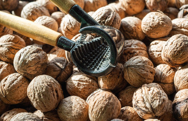 Nutcracker and lot of walnuts on table