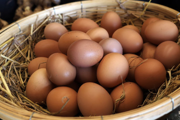 Organic eggs in basket fresh from hen in a chickens farm.