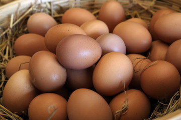 Closeup organic eggs in basket fresh from hen in a chickens farm.