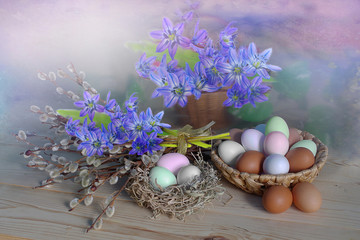 Spring and Easter still-life.Festive table decoration with colored eggs and snowdrops on a blue colored background.