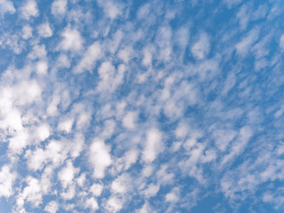 the beginning of spring. the clouds are floating against the blue sky