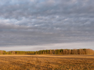 the beginning of spring. clouds are floating over the field.