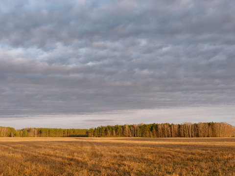 the beginning of spring. clouds are floating over the field.