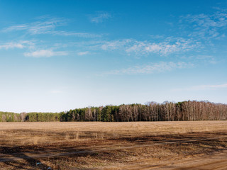 the beginning of spring. clouds are floating over the field.