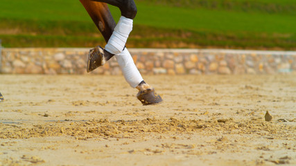 CLOSE UP: Cool shot of brown horses bandaged legs as it canters past the camera.