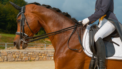 Obraz premium CLOSE UP: Young woman cantering on a brown gelding during dressage competition.
