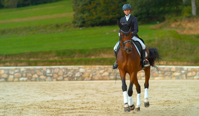 Beautiful brown gelding doing travers during an English dressage competition.