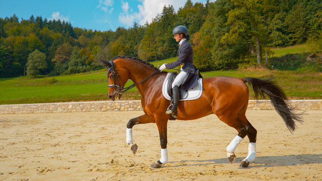 Young female English rider trotting on horseback around the manege on sunny day