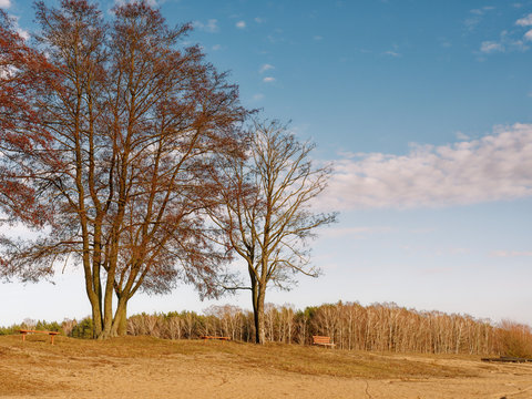 the beginning of spring. clouds are floating over the field.