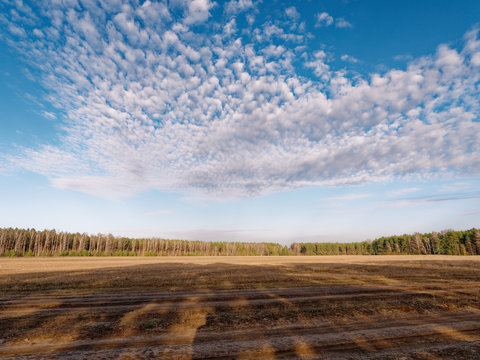 the beginning of spring. clouds are floating over the field.