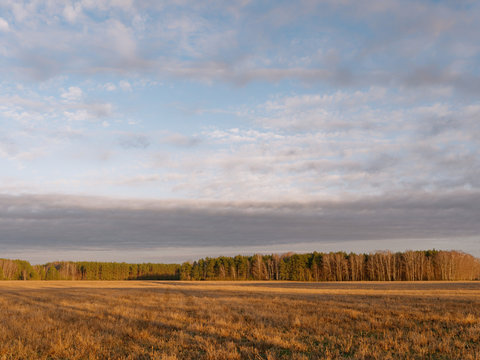 the beginning of spring. clouds are floating over the field.