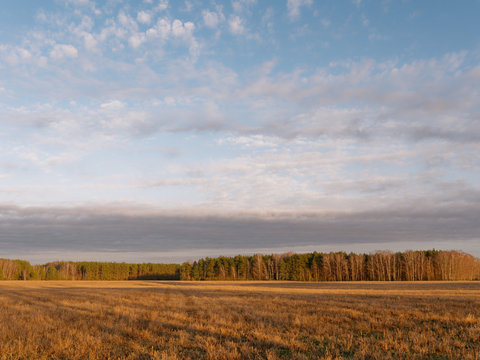 the beginning of spring. clouds are floating over the field.