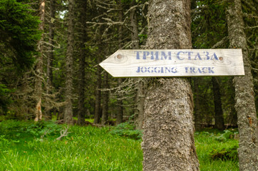 Sign on a tree in a forest with a text in Serbian written in Cyrillic alphabet with the meaning "Jogging track", which is also written