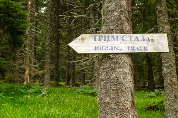 Sign on a tree in a forest with a text in Serbian written in Cyrillic alphabet with the meaning 