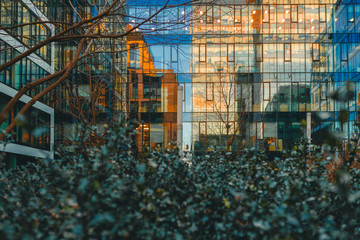 View of a little public park in a modern city near the skyscrapers