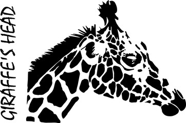 silhouette of giraffe