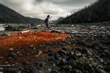 Lady hiker walks in the dead valley with dry trees and rocks