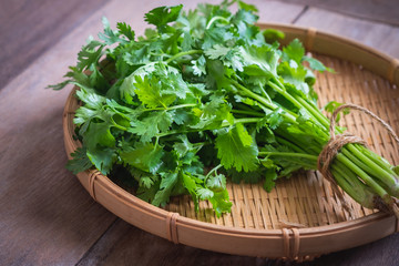 Fresh coriander, cilantro leaves on  basket