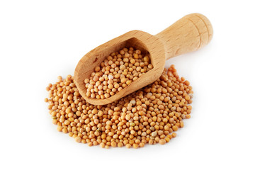 Organic yellow mustard seeds in wooden scoop isolated on white background
