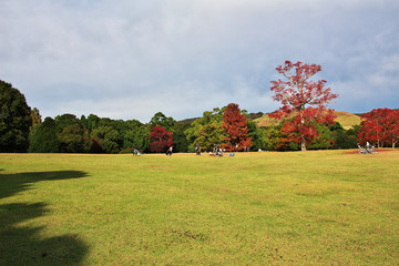 Nara, Japan