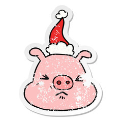 distressed sticker cartoon of a angry pig face wearing santa hat