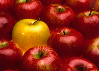 some red apples and one yellow forming a texture, concept of singularity
