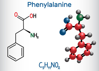 Phenylalanine (lL-phenylalanine, Phe , F) amino acid molecule.  Structural chemical formula and molecule model