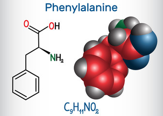 Phenylalanine (L- phenylalanine, Phe , F) amino acid molecule.  Structural chemical formula and molecule model