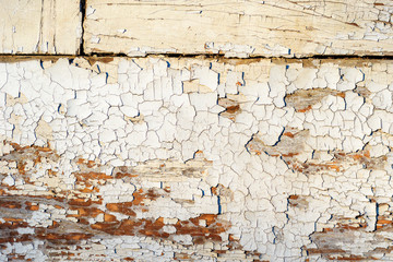 Cracked white paint peeling of the wooden surface