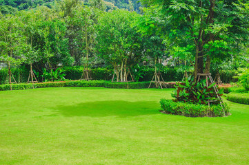 Grass with garden design, landscape design, Golf course in the park.