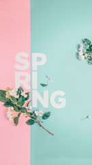 Creative layout with blooming apple tree on a blue background. Flat lay. Concept - spring minimalism