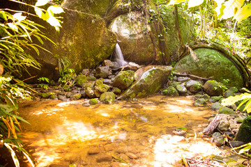 Cascata Gabriela - Floresta da Tijuca