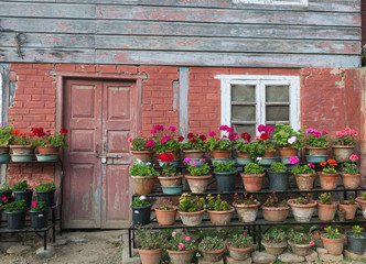 Obraz premium Potted plants and flowers growing outside a rural brick and wood cabin with a door