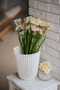 one white and orange beutiful flower from the family narcissus