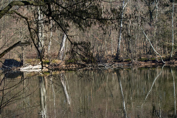 wald see