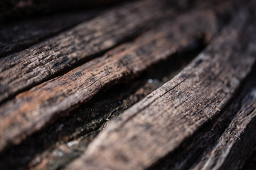 Texture of cut wood.