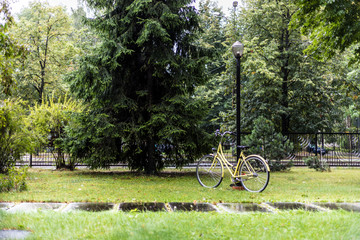 Fototapeta premium Bicycle chained to a lamp post