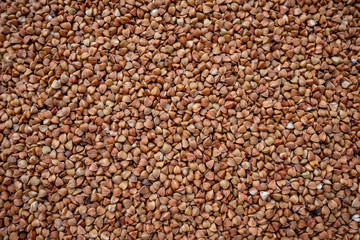 Fototapeta premium Raw buckwheat background texture