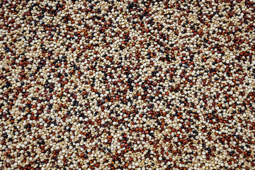 Raw tri-color quinoa background texture